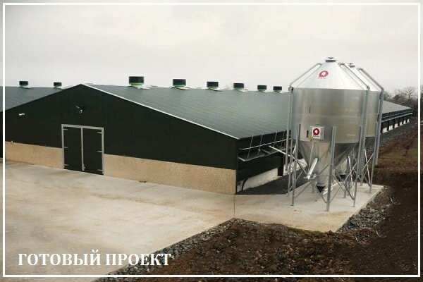 Этапы возведения птицефабрики от завода ВелесТент-щрб